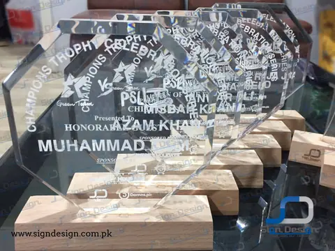 Cricket Tournament Awards – project image 4