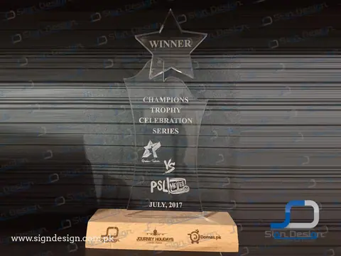 Cricket Tournament Awards – project image 2