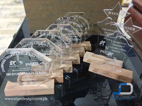 Cricket Tournament Awards – project image 3